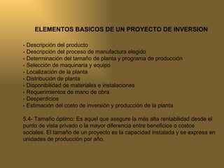 Modelo De Proyectos De Inversion | PPT