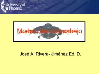Modelo del escarabajo José A. Rivera- Jiménez Ed. D.  