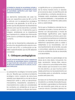 Modelo iee | PDF