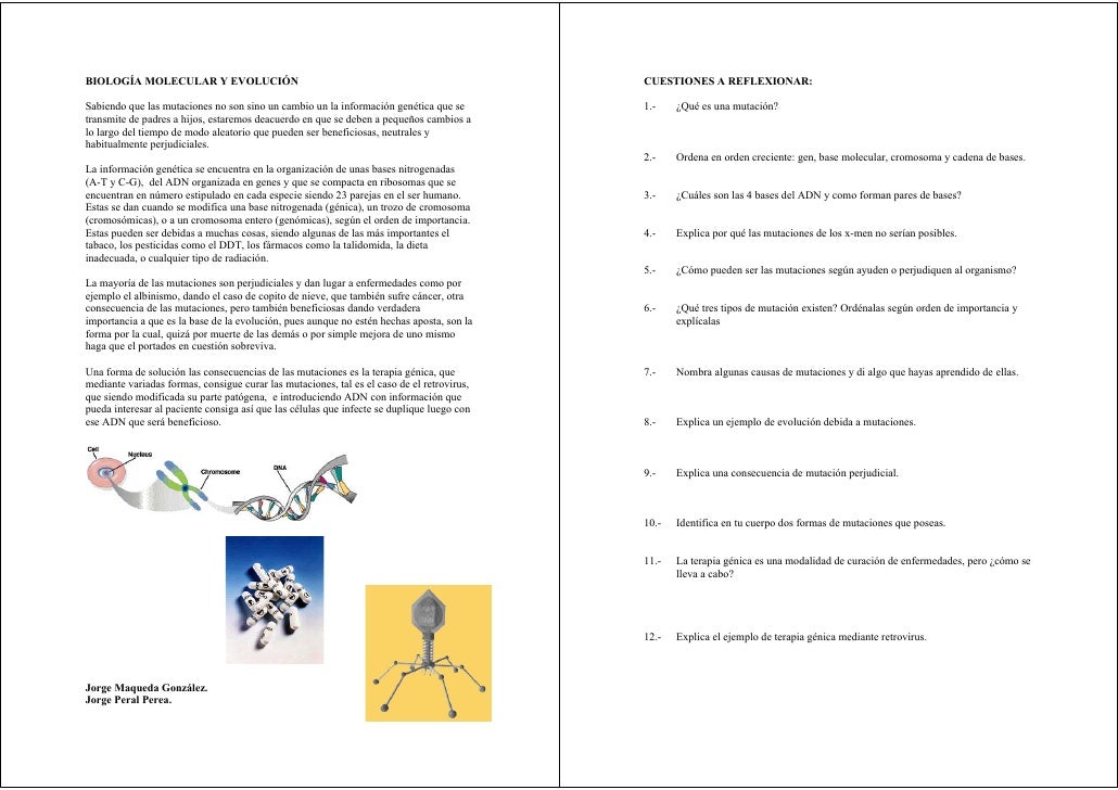 modelos de resumen en ingles