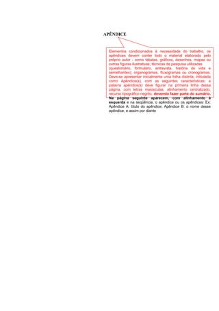 APÊNDICE
Elementos condicionados à necessidade do trabalho, os
apêndices devem conter todo o material elaborado pelo
próprio autor - como tabelas, gráficos, desenhos, mapas ou
outras figuras ilustrativas; técnicas de pesquisa utilizadas
(questionário, formulário, entrevista, história de vida e
semelhantes); organogramas, fluxogramas ou cronogramas.
Deve-se apresentar inicialmente uma folha distinta, intitulada
como Apêndice(s), com as seguintes características: a
palavra apêndice(s) deve figurar na primeira linha dessa
página, com letras maiúsculas, alinhamento centralizado,
recurso tipográfico negrito, devendo fazer parte do sumário.
Na página seguinte aparecem, com alinhamento à
esquerda e na seqüência, o apêndice ou os apêndices: Ex:
Apêndice A: título do apêndice; Apêndice B: o nome desse
apêndice, e assim por diante
 