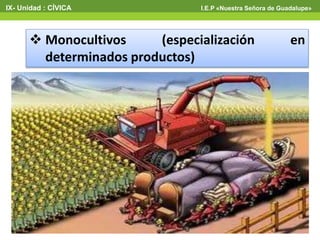  Monocultivos (especialización en
determinados productos)
IX- Unidad : CÍVICA I.E.P «Nuestra Señora de Guadalupe»
 