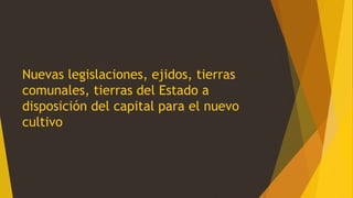 Nuevas legislaciones, ejidos, tierras
comunales, tierras del Estado a
disposición del capital para el nuevo
cultivo
 