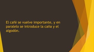 El café se vuelve importante, y en
paralelo se introduce la caña y el
algodón.
 