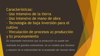 Características:
- Uso intensivo de la tierra
- Uso intensivo de mano de obra
- Tecnología de baja inversión para el
cultivo
- Vinculación de procesos a) producción
y b) procesamiento
Es importante mencionar que la producción no puede ser
realizada sin grandes extensiones, es un modelo que favorece
y requiere de la extensividad de la propiedad del recurso tierra.
 