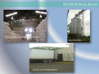 FUNCIONALIDAD




TRILLADORA/EMPAQUE Y BODEGA
                                           SILO DIARIO




                     MUELLE DE EMBARQUE
 