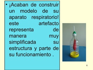 Modelo aparato respiratorio_práctica