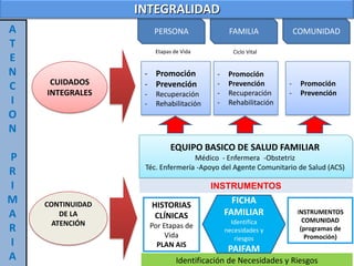 Modelo aps. dra. m. pereyra | PPTX