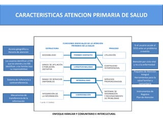 Modelo aps. dra. m. pereyra | PPTX
