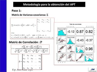 Modelo apt 1 | PDF