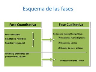 Esquema de las fases
Fuerza Máxima
Resistencia Aeróbica
Rapidez Frecuencial
Técnica y Enseñanza del
pensamiento táctico
Fuerza Máxima
Resistencia Aeróbica
Rapidez Frecuencial
Técnica y Enseñanza del
pensamiento táctico
Fase CuantitativaFase Cuantitativa
Resistencia Especial Competitiva:
 Resistencia Fuerza Explosiva
 Resistencia Láctica
 Rapidez de mov. aislados
Perfeccionamiento Táctico
Resistencia Especial Competitiva:
 Resistencia Fuerza Explosiva
 Resistencia Láctica
 Rapidez de mov. aislados
Perfeccionamiento Táctico
Fase CualitativaFase Cualitativa
 