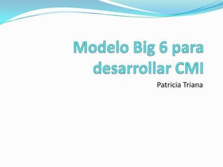 Modelo Big 6 para desarrollar CMI Patricia Triana  