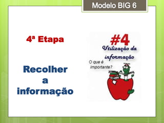 4ª Etapa
Recolher
a
informação
 