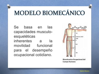 Modelo Biomecánico