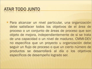 Para alcanzar un nivel particular, una organización debe satisfacer todos los objetivos de el área de proceso o un conjunto de áreas de proceso que son objeto de mejora, independientemente de si se trata de una capacidad o un nivel de madurez. CMMI-DEV no especifica que un proyecto u organización debe seguir un flujo de proceso o que un cierto número de productos se desarrollará al día o los objetivos específicos de desempeño logrado ser. 