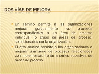 Un camino permite a las organizaciones mejorar gradualmente los procesos correspondientes a un área de proceso individual (o grupo de áreas de proceso) seleccionados por la organización. El otro camino permite a las organizaciones a mejorar una serie de procesos relacionados con incrementos frente a series sucesivas de áreas de proceso.  