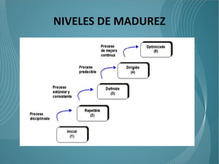 NIVELES DE MADUREZ
 