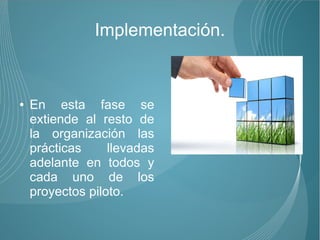 Implementación.


●   En esta fase se
    extiende al resto de
    la organización las
    prácticas     llevadas
    adelante en todos y
    cada uno de los
    proyectos piloto.
 