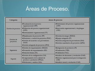 Áreas de Proceso.
 