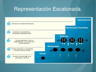 Representación Escalonada.
 