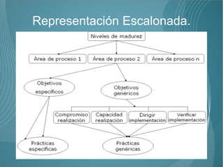 Representación Escalonada.
 
