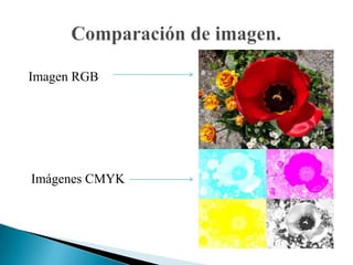 Absorción de la luz.Uso de la tinta negraCreación y producción de un negro puro.