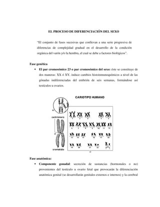 EL PROCESO DE DIFERENCIACIÓN DEL SEXO


     “El conjunto de fases sucesivas que conllevan a una serie progresiva de
     diferencias de complejidad gradual en el desarrollo de la condición
     orgánica del varón y/o la hembra, el cual se debe a factores biológicos”.


Fase genética
      El par cromosómico 23 o par cromosómico del sexo: éste se constituye de
      dos maneras: XX ó XY, induce cambios histoinmunoquímicos a nivel de las
      gónadas indiferenciadas del embrión de seis semanas, formándose así
      testículos u ovarios.




Fase anatómica:
      Componente gonadal: secreción de sustancias (hormonales o no)
      provenientes del testículo u ovario fetal que provocarán la diferenciación
      anatómica genital (se desarrollarán genitales externos e internos) y la cerebral
 