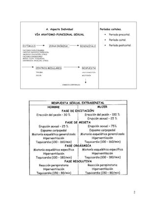 A. Aspecto Individual    Períodos coitales.

VÍA ANATOMO-FUNCIONAL SEXUAL          Periodo precoital.

                                      Período coital.

                                      Período postcoital.




                                                            2
 