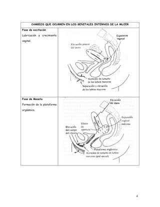 CAMBIOS QUE OCURREN EN LOS GENITALES INTERNOS DE LA MUJER

Fase de excitación

Lubricación y crecimiento

vaginal.




Fase de Meseta

Formación de la plataforma

orgásmica.




                                                                       4
 