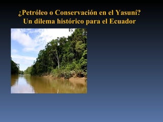 ¿Petróleo o Conservación en el Yasuní?
 Un dilema histórico para el Ecuador
 