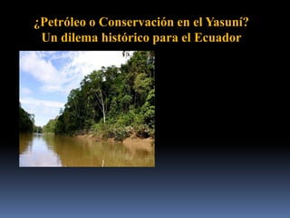 ¿Petróleo o Conservación en el Yasuní?
Un dilema histórico para el Ecuador
 
