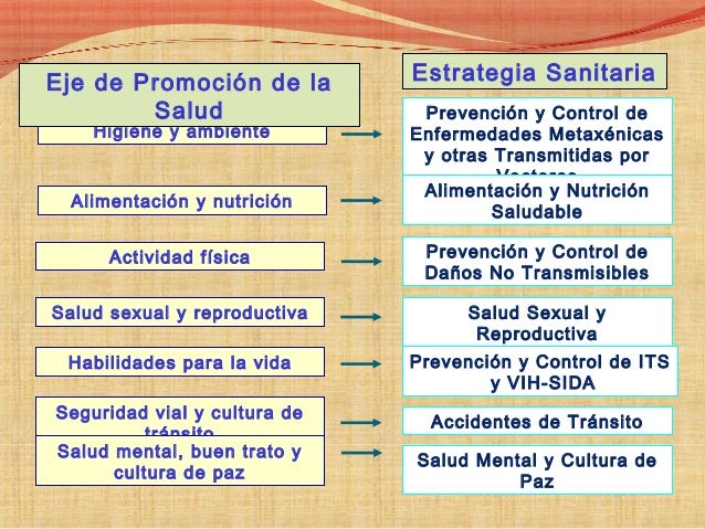 Modelo de abordaje de la promocion de la salud en el perú