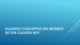 ALGUNOS CONCEPTOS DEL MODELO 
DE SOR CALLISTA ROY 
 