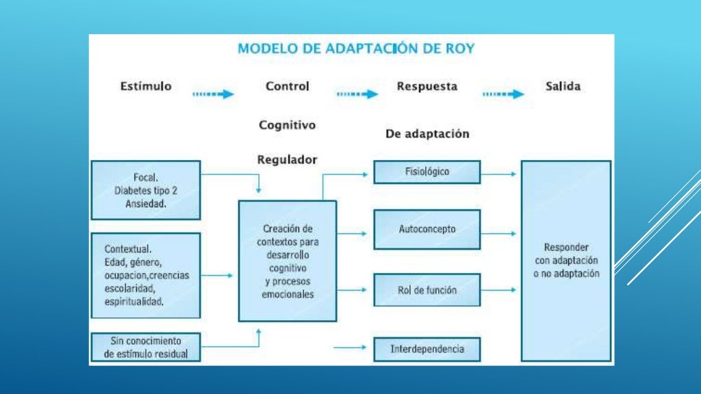 Modelo De Adaptación De Callista Roy Ejemplos teoriaonline.com