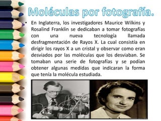 • En Inglaterra, los investigadores Maurice Wilkins y
Rosalind Franklin se dedicaban a tomar fotografías
con una nueva tecnología llamada
desfragmentación de Rayos X. La cual consistía en
dirigir los rayos X a un cristal y observar como eran
desviados por las moléculas que los desviaban. Se
tomaban una serie de fotografías y se podían
obtener algunas medidas que indicaran la forma
que tenía la molécula estudiada.
 