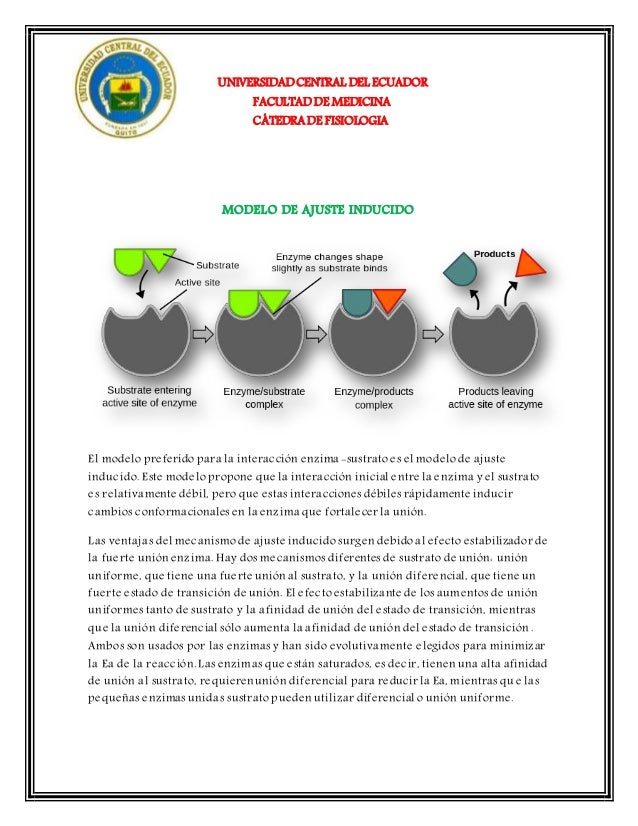Modelo de ajuste inducido