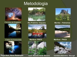 Metodologia



    Caverna em Iraquara     Rio Pratinha- Iraquara           Morrão – Palmeiras




    Cânion da Fumacinha       Maribus- PNCD                  Maribus - PNCD




Poço Azul, Nova Redenção     Cach. Recanto Verde -Ibicoara   Cemitério Bizantino - Mucugê
 