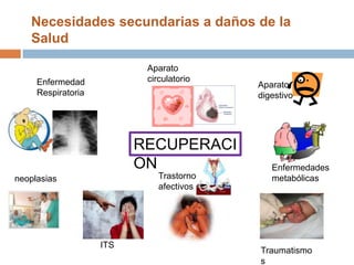 Necesidades secundarias a daños de la SaludAparato circulatorioEnfermedad RespiratoriaAparato digestivoRECUPERACIONEnfermedades metabólicasTrastornos afectivos neoplasiasITSTraumatismos