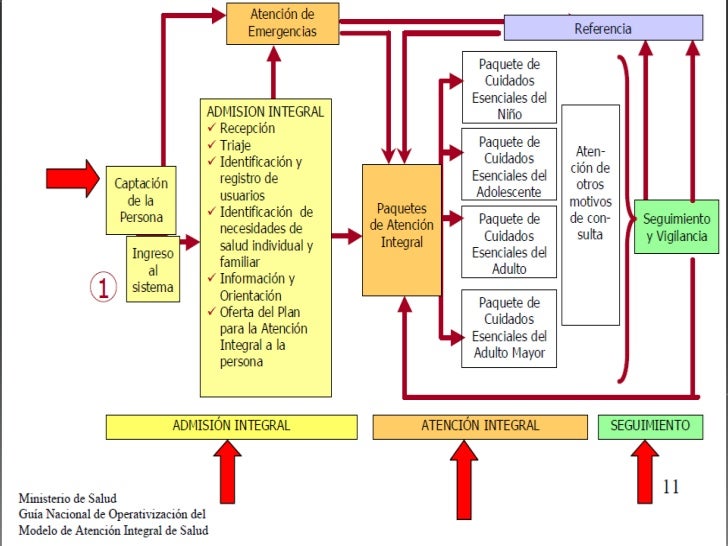 Modelo De Atencion Integral De Salud (Mais)