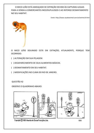 O MICO LEÃO ESTÁ AMEAÇADO DE EXTINÇÃO DEVIDO ÀS CAPTURAS ILEGAIS
PARA A VENDA A COMERCIANTES INESCRUPULOSOS E AO INTENSO DESMATAMENTO
NO SEU HABITAT.
Fonte: http://www.saudeanimal.com.br/extinto14.htm
O MICO LEÃO DOURADO ESTÁ EM EXTINÇÃO, ATUALMENTE, PORQUE TEM
OCORRIDO:
( ) ALTERAÇÃO EM SUA PELAGEM.
( ) DESAPARECIMENTO DE SEUS ALIMENTOS BÁSICOS.
( ) DESMATAMENTO EM SEU HABITAT.
( ) MODIFICAÇÕES NO CLIMA DO RIO DE JANEIRO.
QUESTÃO 42
OBSERVE O QUADRINHO ABAIXO:
 