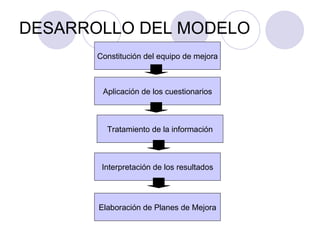 DESARROLLO DEL MODELO Constitución del equipo de mejora Aplicación de los cuestionarios Tratamiento de la información Interpretación de los resultados Elaboración de Planes de Mejora 