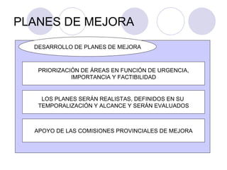 PLANES DE MEJORA APOYO DE LAS COMISIONES PROVINCIALES DE MEJORA PRIORIZACIÓN DE ÁREAS EN FUNCIÓN DE URGENCIA, IMPORTANCIA Y FACTIBILIDAD LOS PLANES SERÁN REALISTAS, DEFINIDOS EN SU  TEMPORALIZACIÓN Y ALCANCE Y SERÁN EVALUADOS DESARROLLO DE PLANES DE MEJORA 