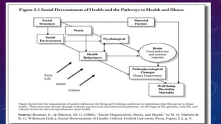 Modelo de brunner, marmot y wilkinson