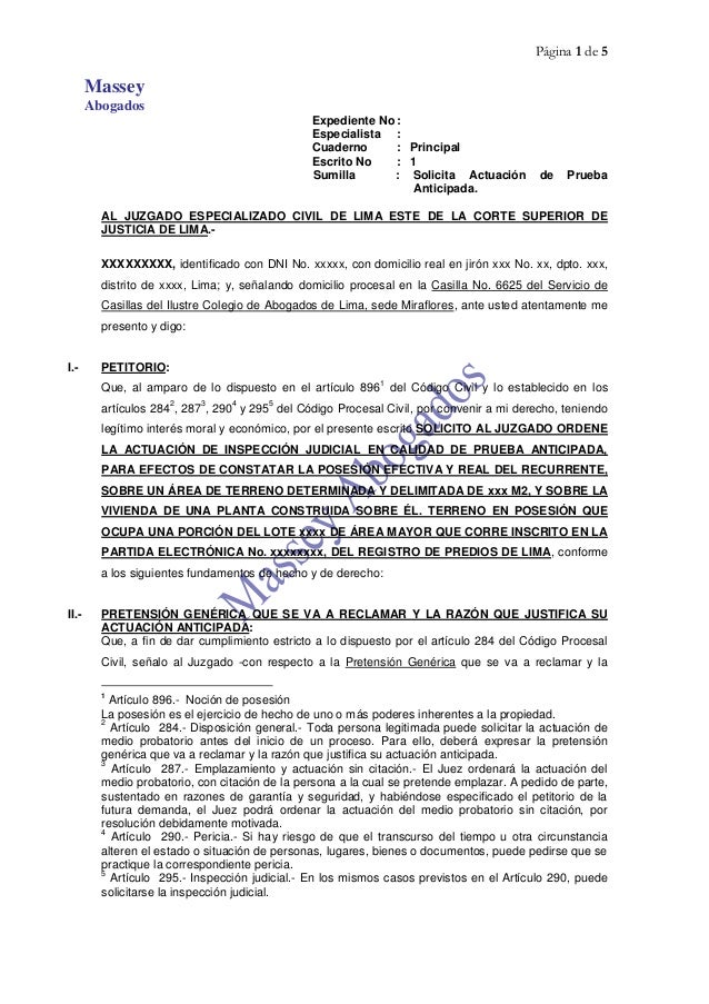 Modelo De Demanda De Prueba Anticipada De Inspeccion Judicial