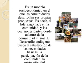 Es un modelo
socioeconómico en el
que las comunidades
desarrollan sus propias
propuestas. Es decir, el
liderazgo nace en la
comunidad, y las
decisiones parten desde
adentro de la
comunidad misma. El
Desarrollo endógeno
busca la satisfacción de
las necesidades
básicas, la
participación de la
comunidad, la
 