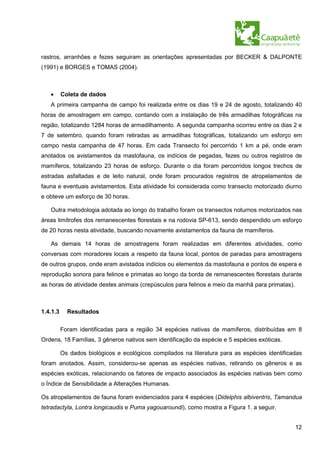 rastros, arranhões e fezes seguiram as orientações apresentadas por BECKER & DALPONTE
(1991) e BORGES e TOMAS (2004).



   •      Coleta de dados
   A primeira campanha de campo foi realizada entre os dias 19 e 24 de agosto, totalizando 40
horas de amostragem em campo, contando com a instalação de três armadilhas fotográficas na
região, totalizando 1284 horas de armadilhamento. A segunda campanha ocorreu entre os dias 2 e
7 de setembro, quando foram retiradas as armadilhas fotográficas, totalizando um esforço em
campo nesta campanha de 47 horas. Em cada Transecto foi percorrido 1 km a pé, onde eram
anotados os avistamentos da mastofauna, os indícios de pegadas, fezes ou outros registros de
mamíferos, totalizando 23 horas de esforço. Durante o dia foram percorridos longos trechos de
estradas asfaltadas e de leito natural, onde foram procurados registros de atropelamentos de
fauna e eventuais avistamentos. Esta atividade foi considerada como transecto motorizado diurno
e obteve um esforço de 30 horas.

   Outra metodologia adotada ao longo do trabalho foram os transectos noturnos motorizados nas
áreas limítrofes dos remanescentes florestais e na rodovia SP-613, sendo despendido um esforço
de 20 horas nesta atividade, buscando novamente avistamentos da fauna de mamíferos.

   As demais 14 horas de amostragens foram realizadas em diferentes atividades, como
conversas com moradores locais a respeito da fauna local, pontos de paradas para amostragens
de outros grupos, onde eram avistados indícios ou elementos da mastofauna e pontos de espera e
reprodução sonora para felinos e primatas ao longo da borda de remanescentes florestais durante
as horas de atividade destes animais (crepúsculos para felinos e meio da manhã para primatas).



1.4.1.3     Resultados

          Foram identificadas para a região 34 espécies nativas de mamíferos, distribuídas em 8
Ordens, 18 Famílias, 3 gêneros nativos sem identificação da espécie e 5 espécies exóticas.

          Os dados biológicos e ecológicos compilados na literatura para as espécies identificadas
foram anotados. Assim, considerou-se apenas as espécies nativas, retirando os gêneros e as
espécies exóticas, relacionando os fatores de impacto associados às espécies nativas bem como
o Índice de Sensibilidade a Alterações Humanas.

Os atropelamentos de fauna foram evidenciados para 4 espécies (Didelphis albiventris, Tamandua
tetradactyla, Lontra longicaudis e Puma yagouaroundi), como mostra a Figura 1. a seguir.


                                                                                                 12
 