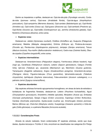 Dentre as trepadeiras e epifitas, destacam-se: Cipó-de-são-joão (Pyrostegia venusta), Corda-
de-viola (Ipomoea cairica), Cipó-neve (Arrabidade florida), Cipó-de-água (Amphilophium
paniculatum), Cipó-campainha (Merremia dissecta), Cipó-candeia (Babisteriopsis sp), Cipó-florido
(Anredera sp), Cipó-cordia (Cissus sp), Cipó-guaco (Dioscorea sp), Cipó-cambará (Prestonia sp),
Cipó-florido (Govania sp), Cipó-balão (Cardiospermum sp), Jarrinha (Aristolochia galeata), Cipó-
floridinho (Chamissoa altissima), entre outras.

       Espécies raras:

   Destacam-se: Jatobá (Hymenaea courbaril), Cheflera (Schefflera sp), Guajuvira (Patagonula
americana), Mataíba (Matayba elaeagnoides), Eritrinia (Erithryna sp), Pindaíva-de-macaco
(Porcelia sp), Peroba-rosa (Aspidosperma polyneuron), Jenipapo (Genipa americana), Taiuva
(Maclura tinctoria), Pau-marfim (Balfourodendron riedelianum), Cedro-rosa (Cedrela fissilis), Óleo-
de-copaíba (Copaífera langsdorffii), entre outras.

       Espécies intermediárias:

   Destacam-se: Amendoim-bravo (Platypodium elegans), Farinha-seca (Albizia hasslerii), Ingá
(Ingá sp), Canafístula (Peltophorum dubium), Leiteiro (Sapium glandulatum), Catiguá (Trichilia
hirta), Ipê-roxo (Tabebuia sp), Jacaranda (Machaerium sp), Marinheiro (Guarea guidonia),
Tamanqueiro (Aegiphila sellowiana), Angico (Anadenanthera peregrina), Amendoim-do-campo
(Pterogyne nitens), Figueira-mata-pau (Fícus guaranitica), Ipê-amarelo-cascudo (Tabebuia
chrysotricha), Ipê-felpudo (Zeyheria tuberculosa), Falso-amendoim (Acosium subelegans), e a
palmeira Jerivá (Syagrus romanzoffiana).

       Espécies abundantes:

   Sãp espécies arbóreas formando agrupamentos homogêneos, em áreas de beira de estradas e
bordaduras de fragmentos florestais, destacam-se: Leiteiro (Peschiera fuchsiaefolia), Aguai
(Chrysophyllum gonocarpum), Amarelinho (Helietta apiculata), Monjoleiro (Acacia sp), Embaúba
(Cecropia pachystachya), Sangra d´água (Croton urucurana), Capixingui (Cróton floribundus),
Candeia (Gochnatia polymorpha), Açoita-cavalo (Luehea sp), Arranha-gato (Acácia plumosa),
Marica (Mimosa sp), Chal-chal (Allophylus edulis), Guaçatonga (Casearia sylvestris) e Grão-de-
galo (Celtis glicicarpa), e a palmeira Macaúba (Acroconia aculeata).



1.3.2.2.2 Considerações Finais


   Através do estudo realizado, foram evidenciadas 87 espécies arbóreas, sendo que duas
destas, Apuleia leiocarpa e Trichilia cf. hirta, encontram-se classificadas nas categorias Em Perigo


                                                                                                  9
 