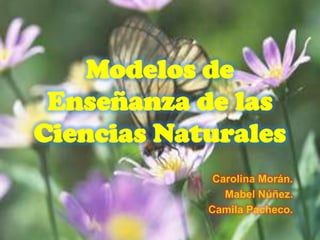 Modelos de Enseñanza de las Ciencias Naturales  Carolina Morán. Mabel Núñez. Camila Pacheco.  