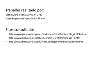 Trabalho realizado por:
Maria Manuela Dias Alves, nº 2733
Curso Engenharia Agronómica 2º ano
Sites consultados:
• http://www.plantasyhongos.es/herbarium/htm/Onobrychis_viciifolia.htm
• http://www.unavarra.es/herbario/pratenses/htm/Onob_vici_p.htm
• http://www.floravascular.com/index.php?spp=Onobrychis%20viciifolia
 
