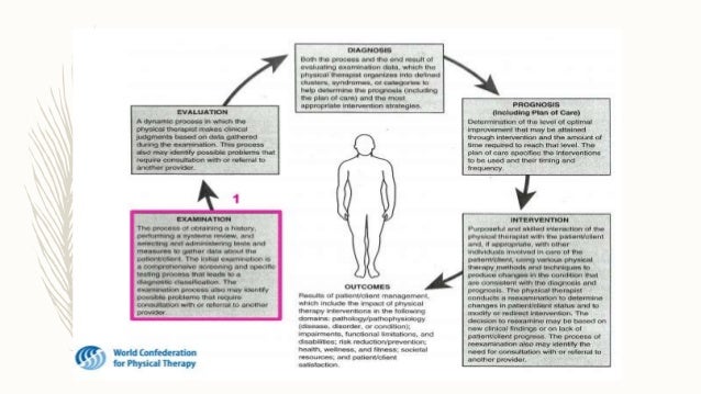 Modelo de intervención en fisioterapia en méxico